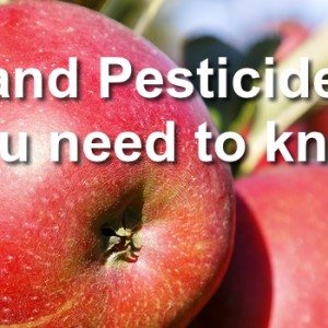 Apples and Pesticides: What you need to know