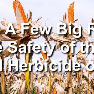 Glyphosate: A Few Big Reasons to Doubt the Safety of the Most Widely Used Herbicide on Your Food