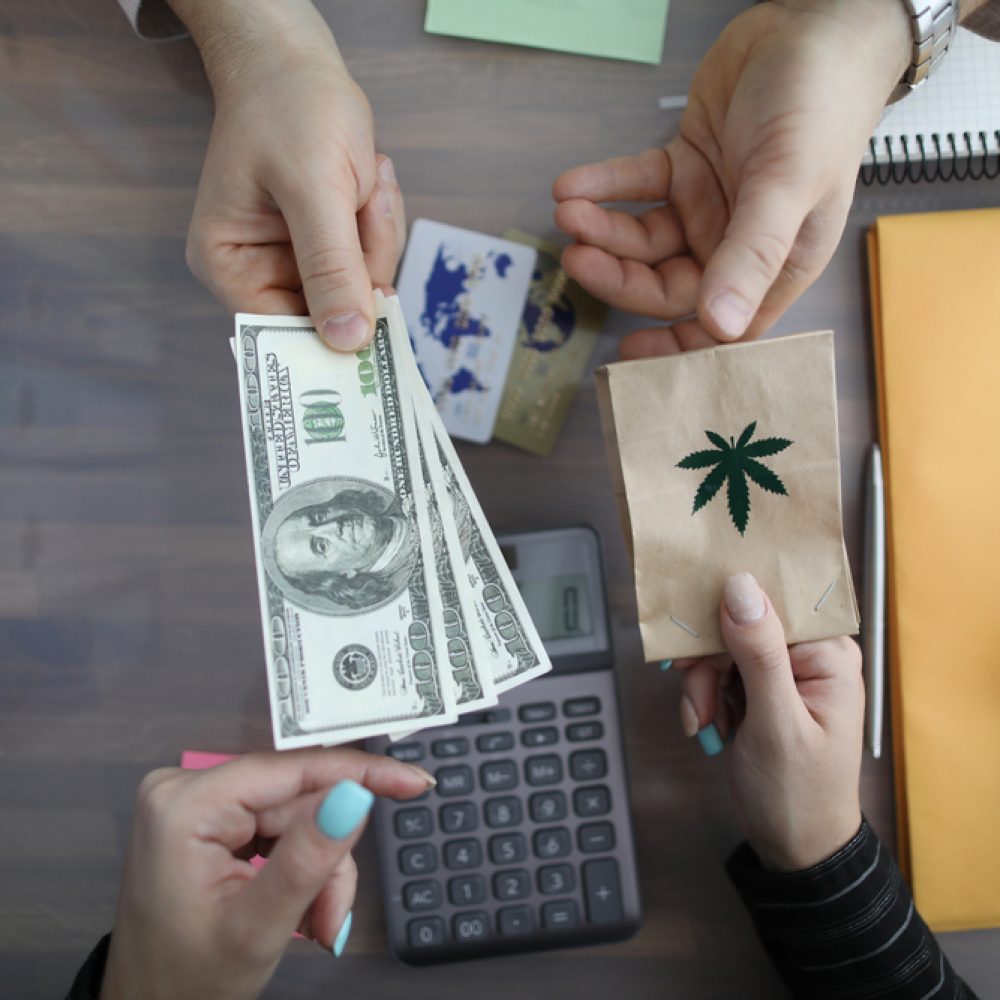 Three Things You Must Know Before Buying Cannabis