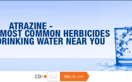 Atrazine – One of the Most Common Herbicides Found in Drinking Water Near You