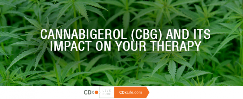 Cannabigerol (CBG) and Its Impact on Your Therapy