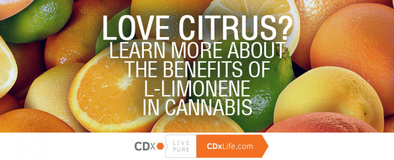 Love Citrus?