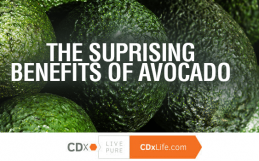 The Surprising Health Benefits of Avocados