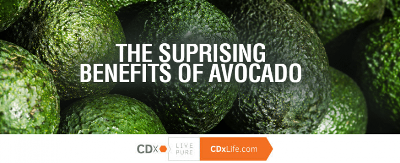 The Surprising Health Benefits of Avocados