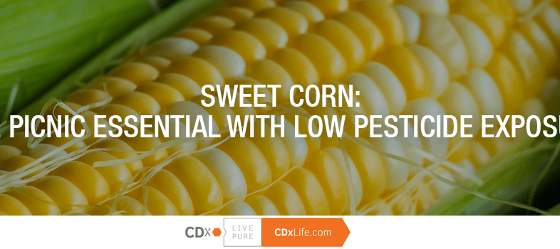 Sweet Corn: The Picnic Essential with Low Pesticide Exposure