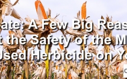 Glyphosate: A Few Big Reasons to Doubt the Safety
