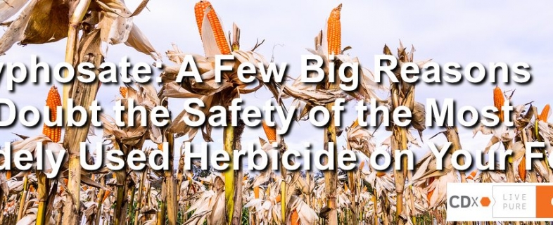 Glyphosate: A Few Big Reasons to Doubt the Safety