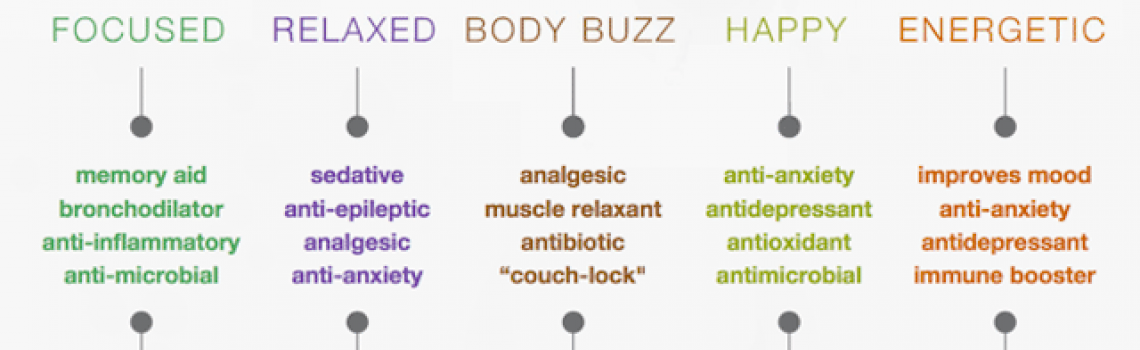 Terpenes: what can they do for you?