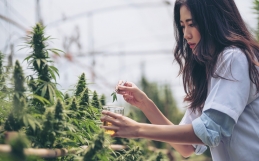 New Cannabis Technology in 2022