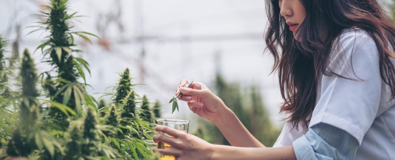 New Cannabis Technology in 2022