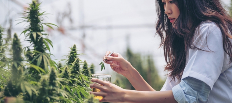New Cannabis Technology in 2022
