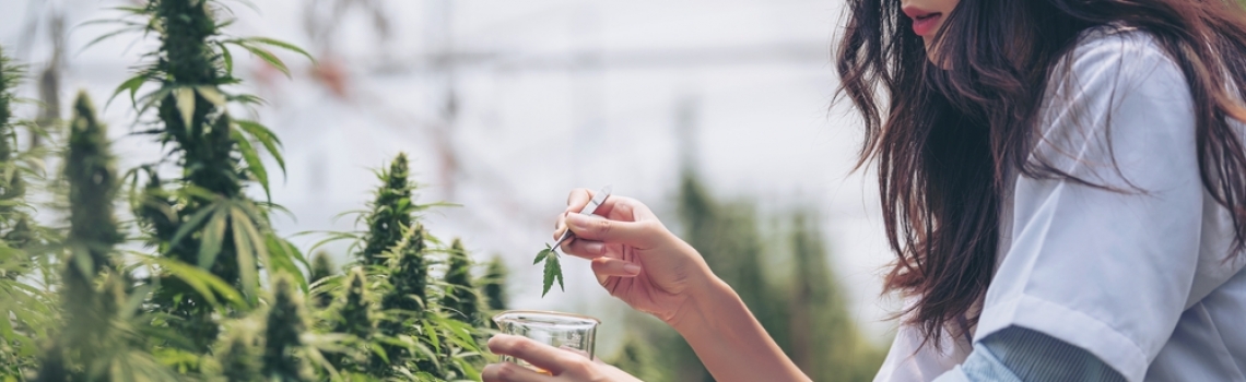 New Cannabis Technology in 2022