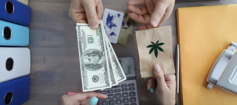 Three Things You Must Know Before Buying Cannabis