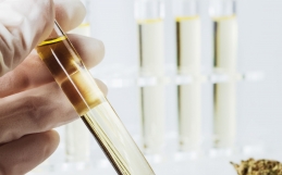 A Revolution In Diagnostics