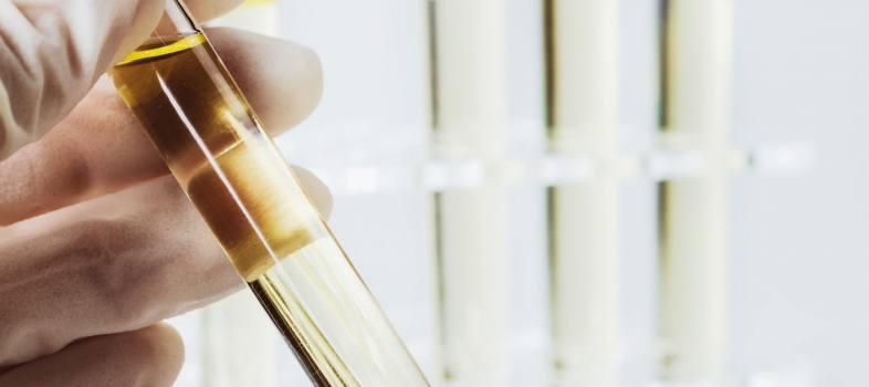 A Revolution In Diagnostics