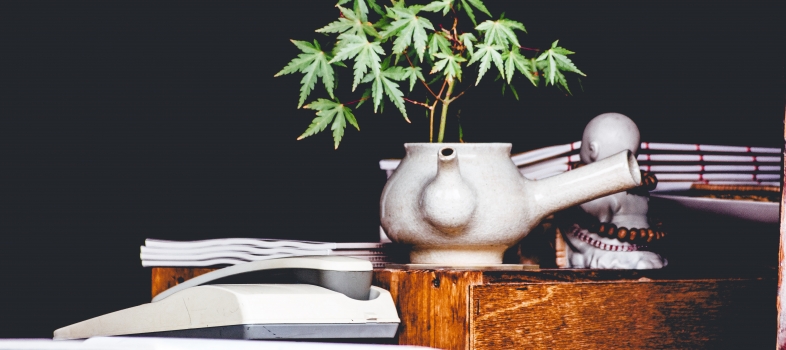 Cannabis and Opioids