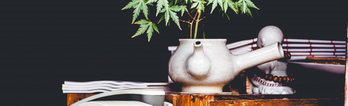 Cannabis and Opioids