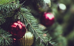 MDYX Christmas List!