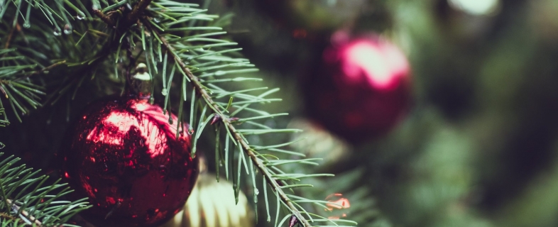 MDYX Christmas List!