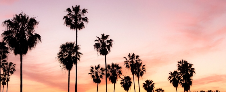 Ready to Take Your Cannabis Brand to the Next Level?