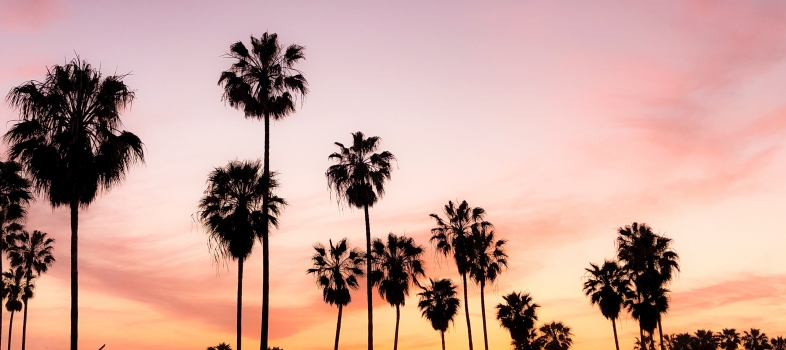 Ready to Take Your Cannabis Brand to the Next Level?