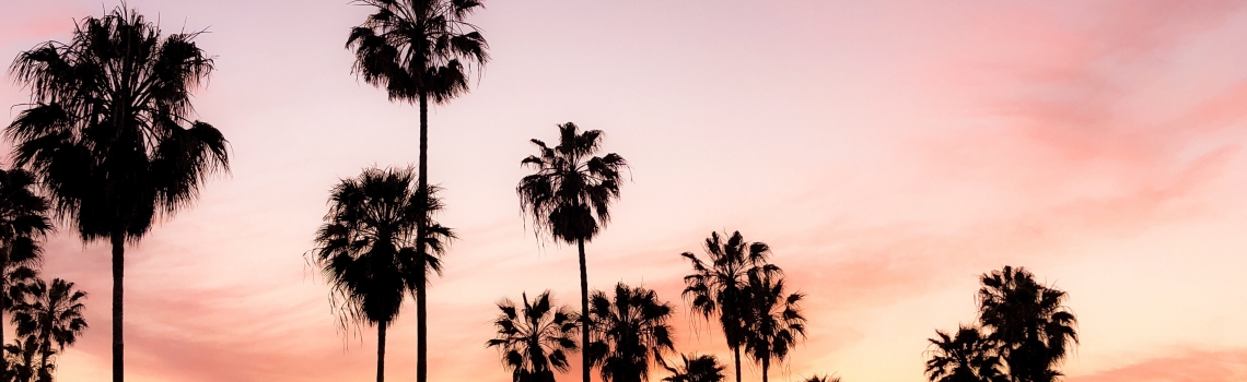Ready to Take Your Cannabis Brand to the Next Level?